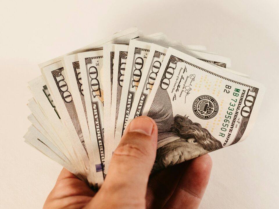 a person holds banknotes